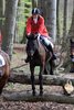 IMG-9769