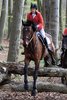 IMG-9765