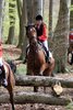 IMG-9895