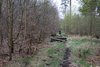 IMG-9233
