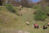 IMG-0200