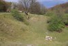 IMG-0217