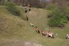 IMG-0189