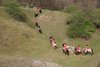 IMG-0186