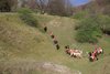 IMG-0184