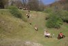 IMG-0194