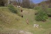 IMG-0208