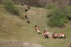 IMG-0187