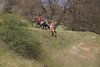 IMG-0220