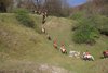 IMG-0192