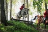 IMG-2804