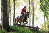 IMG-2794