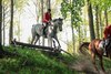 IMG-2806