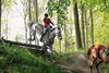 IMG-2808