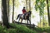 IMG-2810