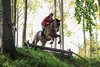 IMG-2823