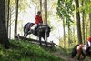 IMG-2816