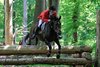 IMG-3868