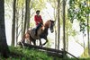 IMG-2959