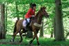 IMG-4151