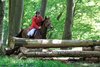 IMG-4129