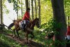 IMG-3224