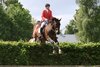 IMG-7476