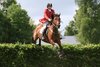 IMG-7492