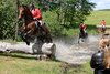 IMG-8100