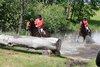 IMG-8119