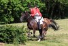 IMG-7181