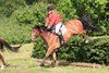 IMG-7164