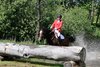 IMG-8113