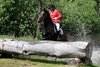 IMG-8213