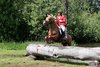 IMG-8111
