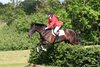 IMG-7110