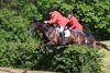IMG-7184