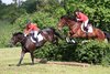 IMG-7170