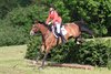 IMG-7193