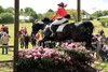 IMG-8225