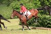 IMG-7172