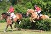 IMG-7153