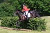IMG-7197