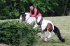 IMG-7384