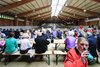 IMG-8510