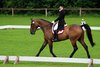 IMG-3961
