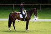 IMG-4371