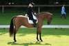 IMG-4221