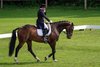 IMG-4378