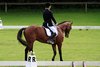IMG-4402